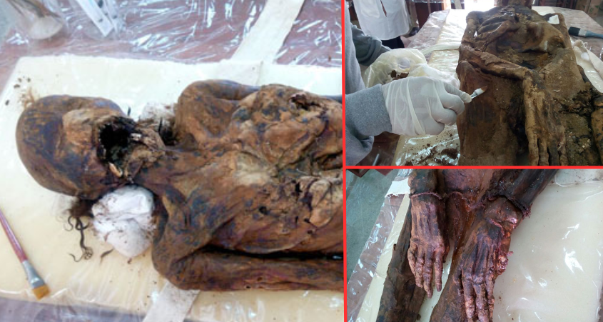 Seven Mummified Remains From The El-Mezawaa Necropolis Restored, Revealing Their Complex Lifestyles