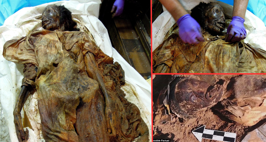 Airtight Iron Coffin Found In Queens Held A Mysterious Mummy