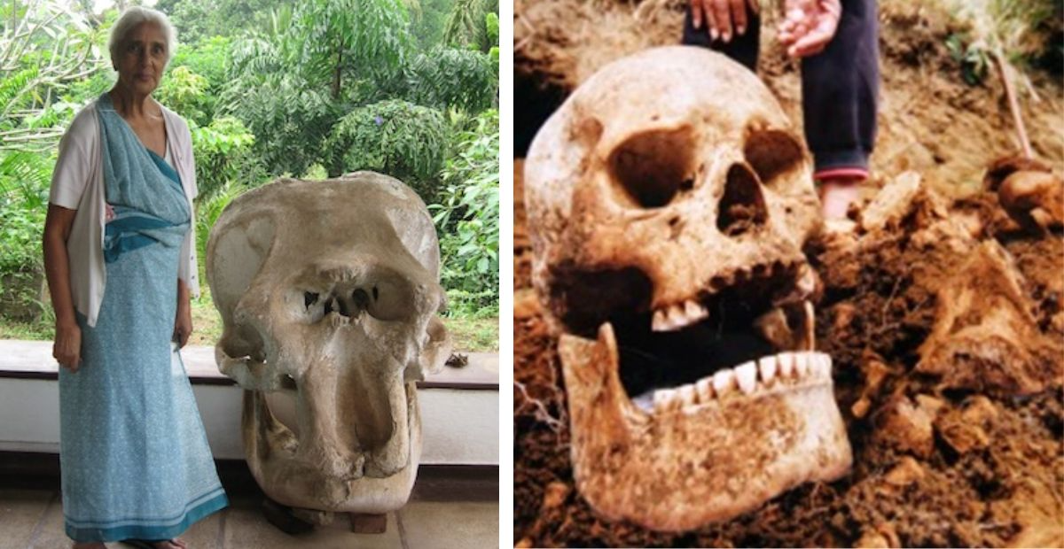 Enormous Skull Unearthed in Sri Lanka: Over 37,000 Years Old and Stands Over 10 Feet Tall - ZONESH
