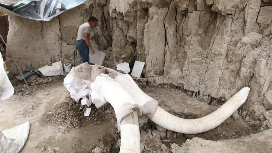 Hundreds of ancient mammoth skeletons were found buried under the site of a future airport in Mexico