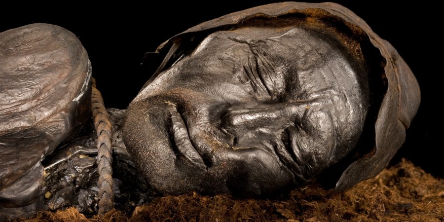 Archaeologists discovered a 2,400-year-old mummy named Tollund Man in Denmark, making everyone admire.