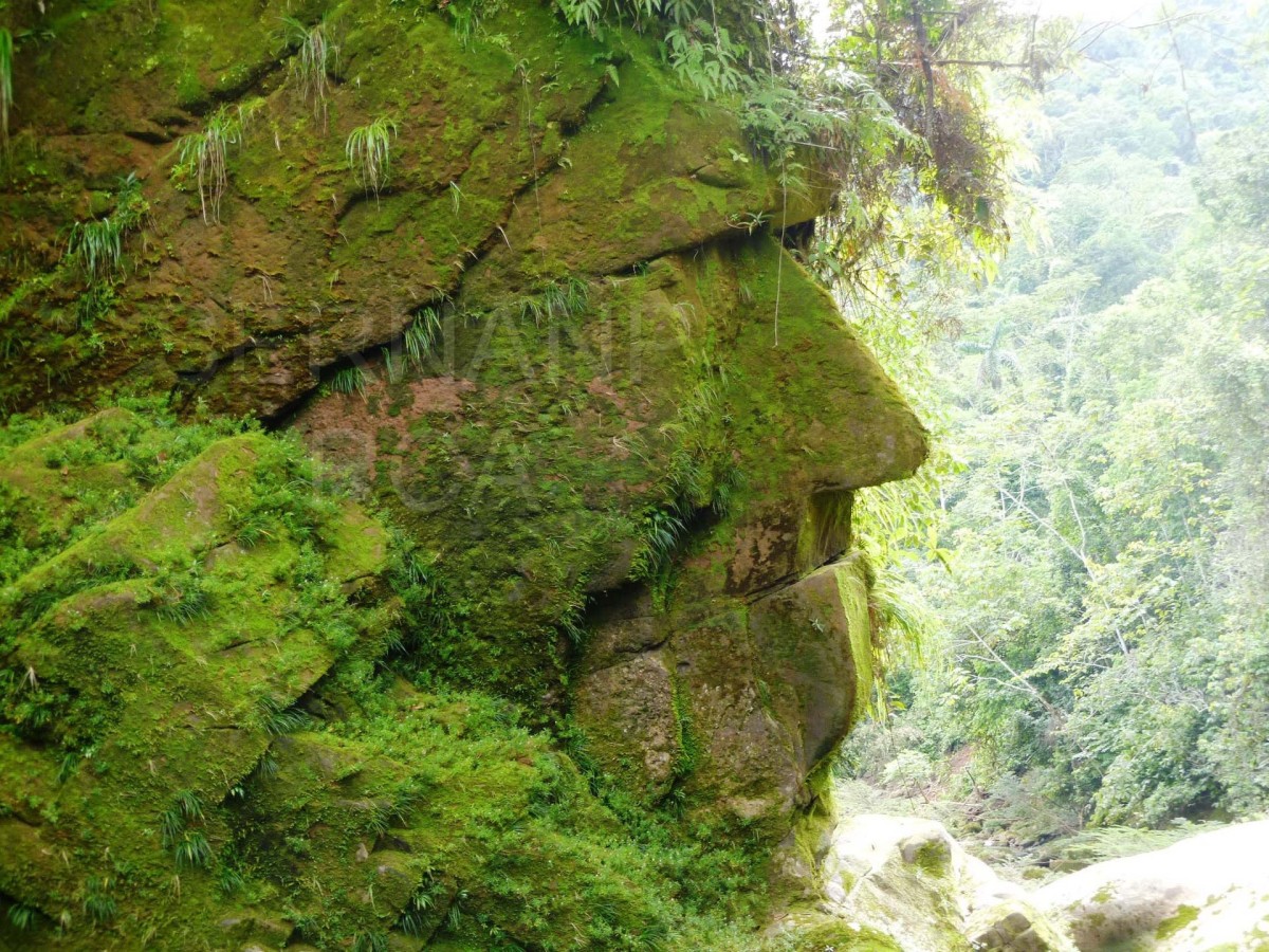 Hidden deep in the Peruvian Amazon is a huge face carved into a stone cliff.