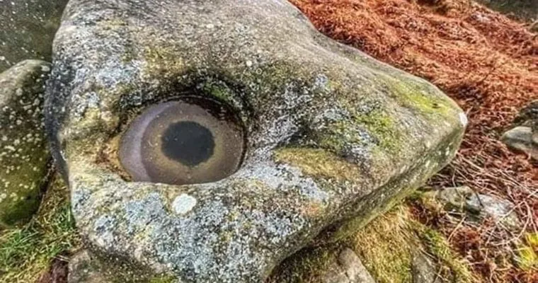 Nature's eye is always watching! Bizarre frost formation on a rock found in Derbyshire Peak District, UK - BAP NEWS