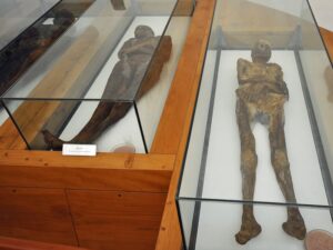 The Unsolved Mystery of the Strange Mummies of Venzone: Ancient Bodies That Never Decompose - BYA NEWS