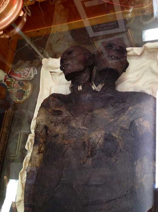 Ancient Excavators Discover Mysterious Mummy of Two-Headed Giant