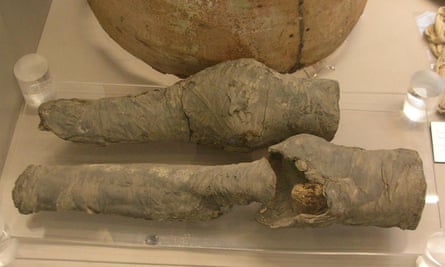Mummified knees are Queen Nefertari's, archaeologists conclude