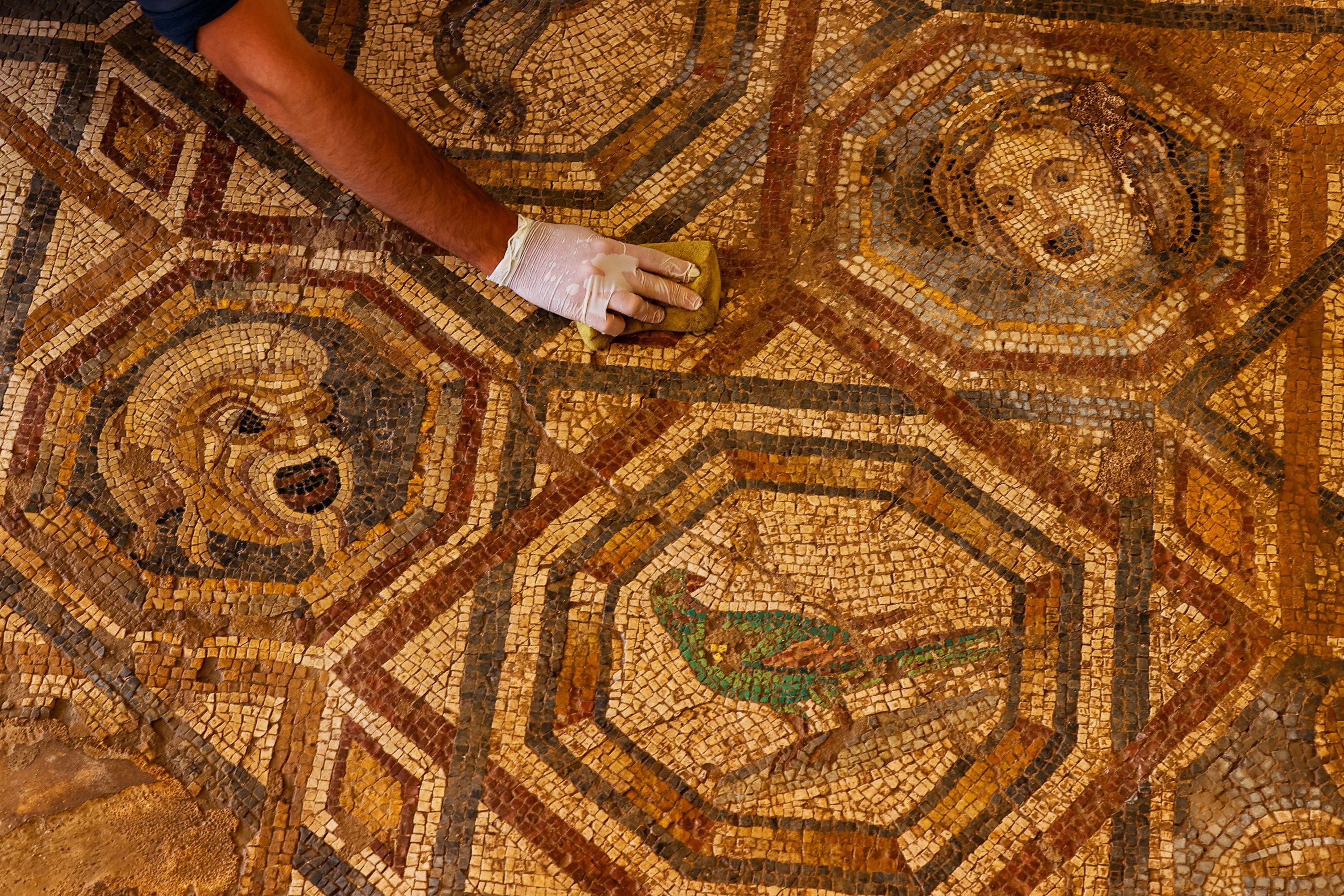 Archaeologists Unearthed Three Ancient Greek Mosaics 2nd Century BC - Mnews