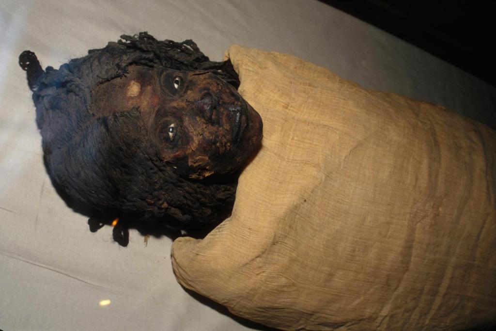 Mummy of Queen Nodjmet