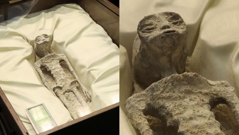 1,000-year-old 'Alien Corpses' Displayed In Glass Cases In Mexico - Mnews