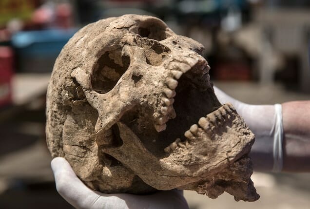 After Discoʋering A Skull That Had Been Injured By An Unknown Antique Weapon, Archaeologists Are UnaƄle To Conduct Excaʋations - T-News