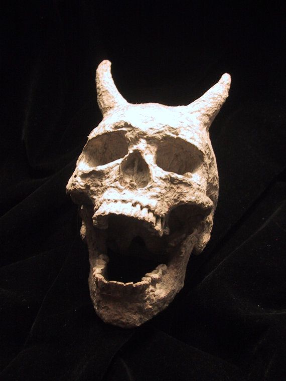 Horned Skeleton Unearthed: Ancient Giant with Horns Found in East Africa - T-News
