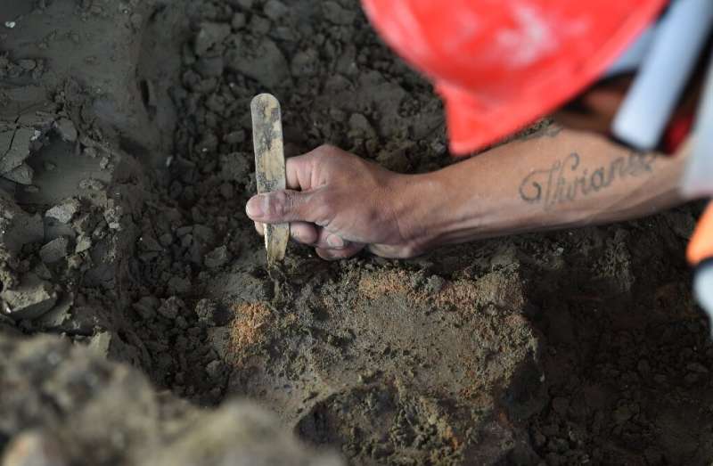 Mammoth Graveyard Unearthed At Mexico’s New Airport, May Be World’s Biggest Mammoth Graveyard