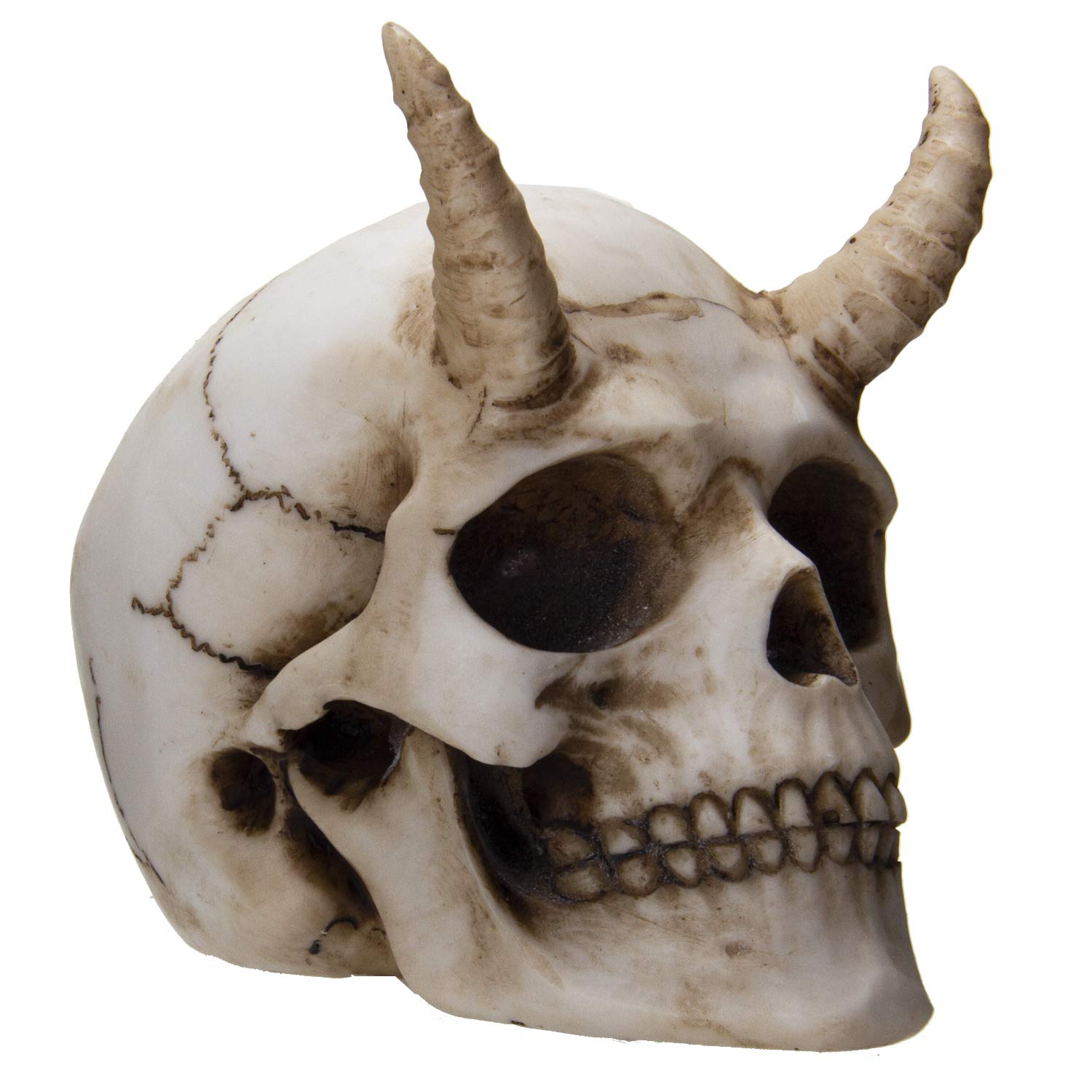 Horned Skeleton Unearthed: Ancient Giant with Horns Found in East Africa - T-News
