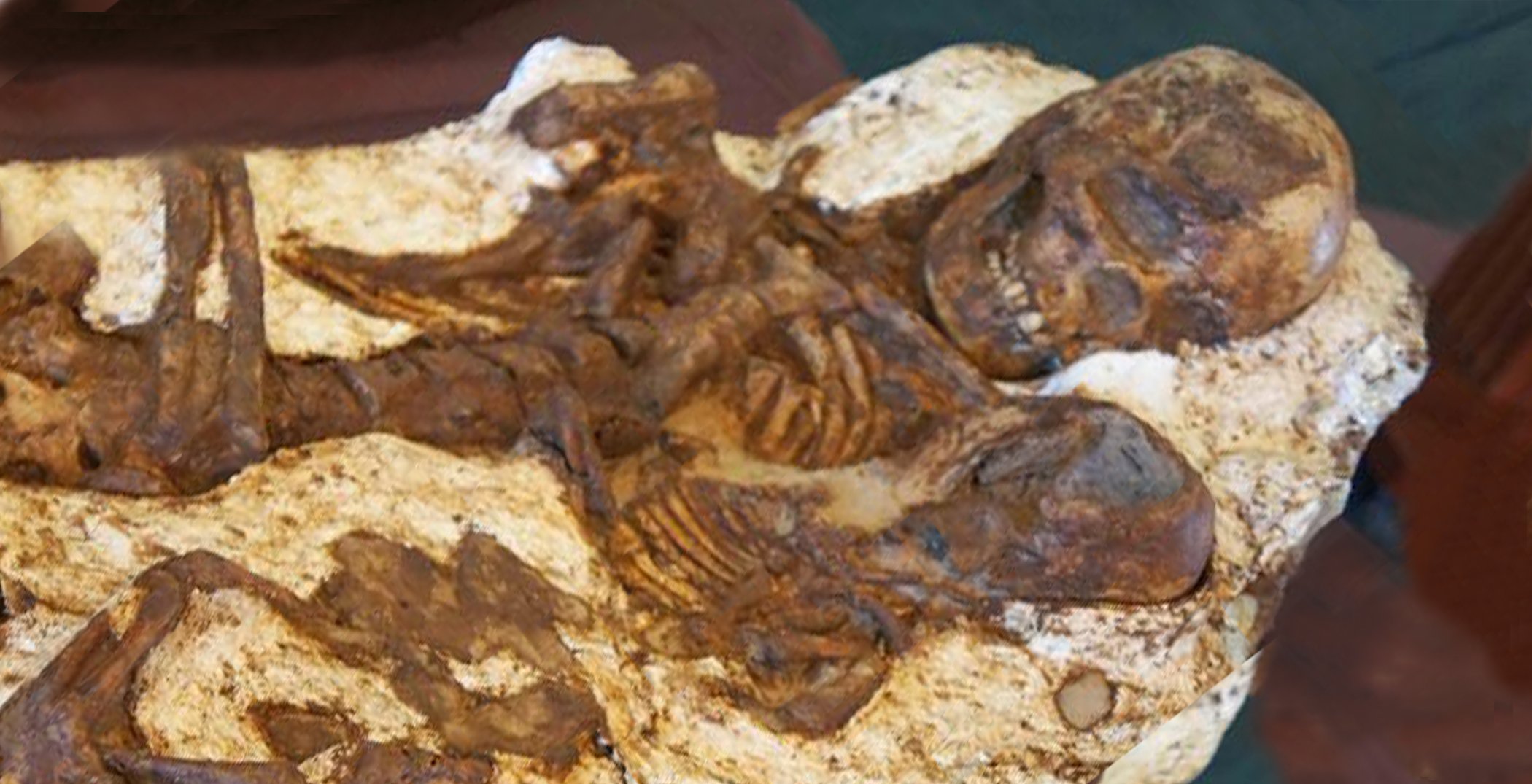 Taiwan finds 4,800-year-old fossil of mother cradling baby