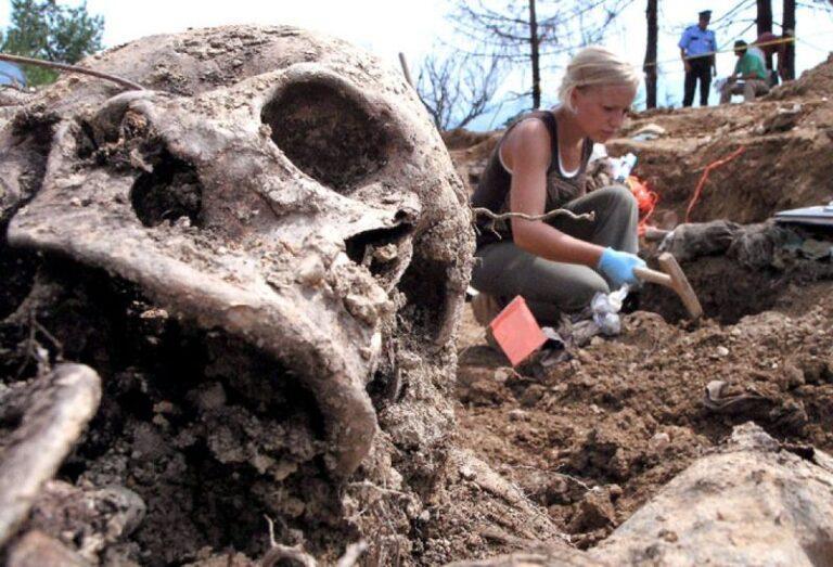 Skeletons Found in an Ancient City Reʋeal Historical Secrets of East Africa