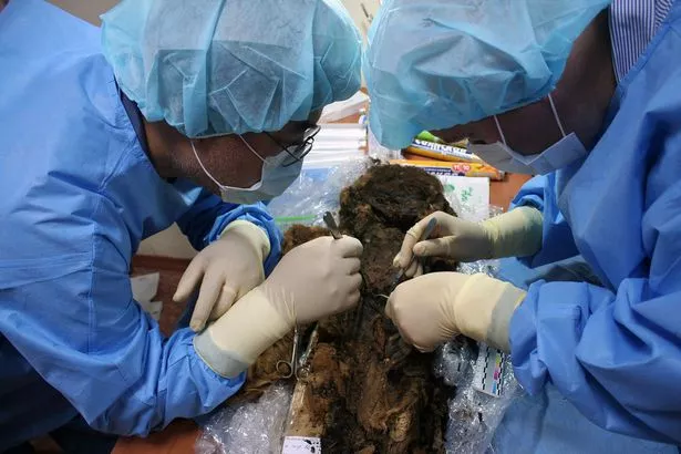 Mummified remains of ‘polar princess’ reveal how long eyelashes and hair are still intact after burial 900 years ago