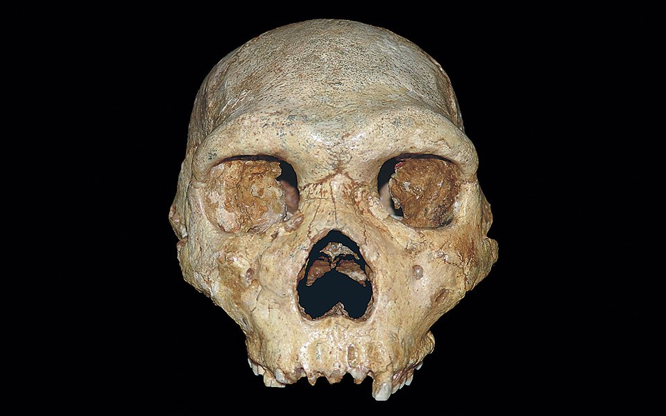 The 700,000-year-old Skull in Greek cave completely shatters the Out of Africa theory