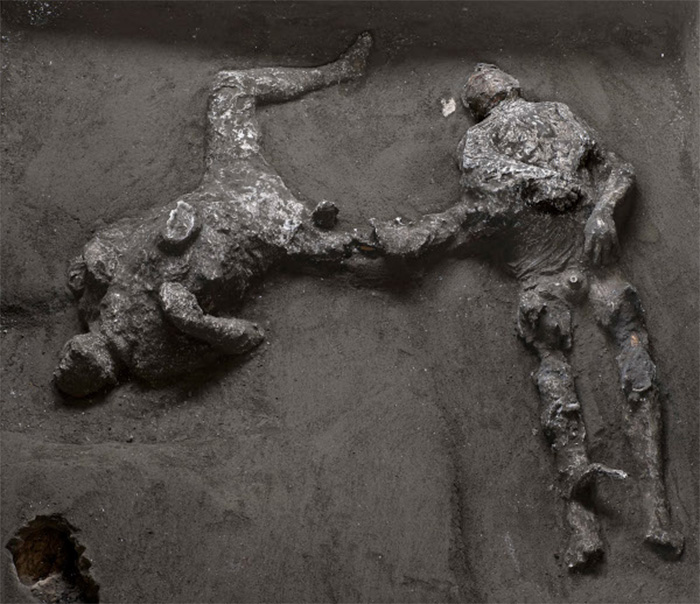 Victims of Vesuvius - World Archaeology