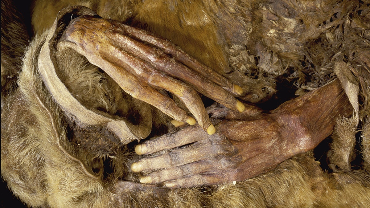500-year-old frozen bodies are ‘North America’s best preserved mummies’