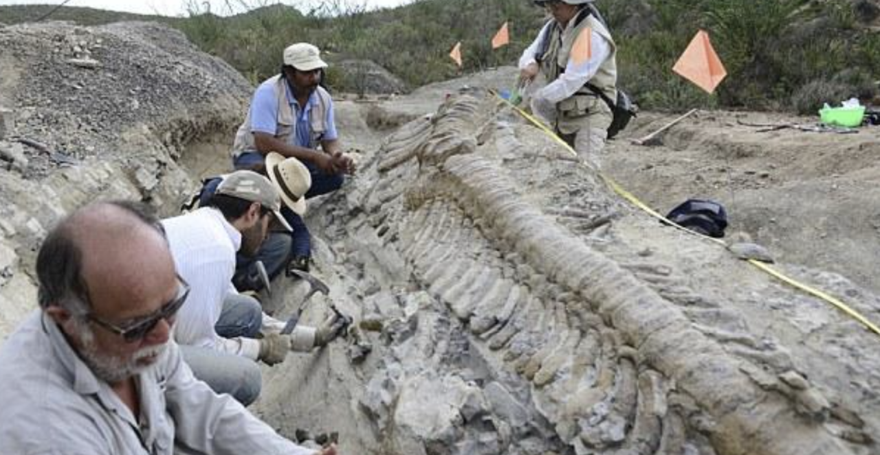 72-Million-year-old Dinosaur Tail Found In Mexican Desert Baffles Archaeologists - Mnews
