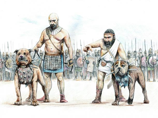 Becerrillo: The Terrifying War Dog of the Spanish Conquistadors
