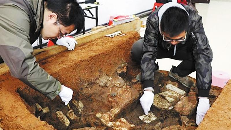 Archaeologists Say They Have Unearthed A 5,000-Year-Old Graveyard of Giants in China - T-News