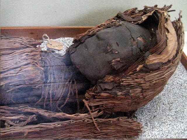 Chinchorro Mummies Turning Into 'Black Ooze'