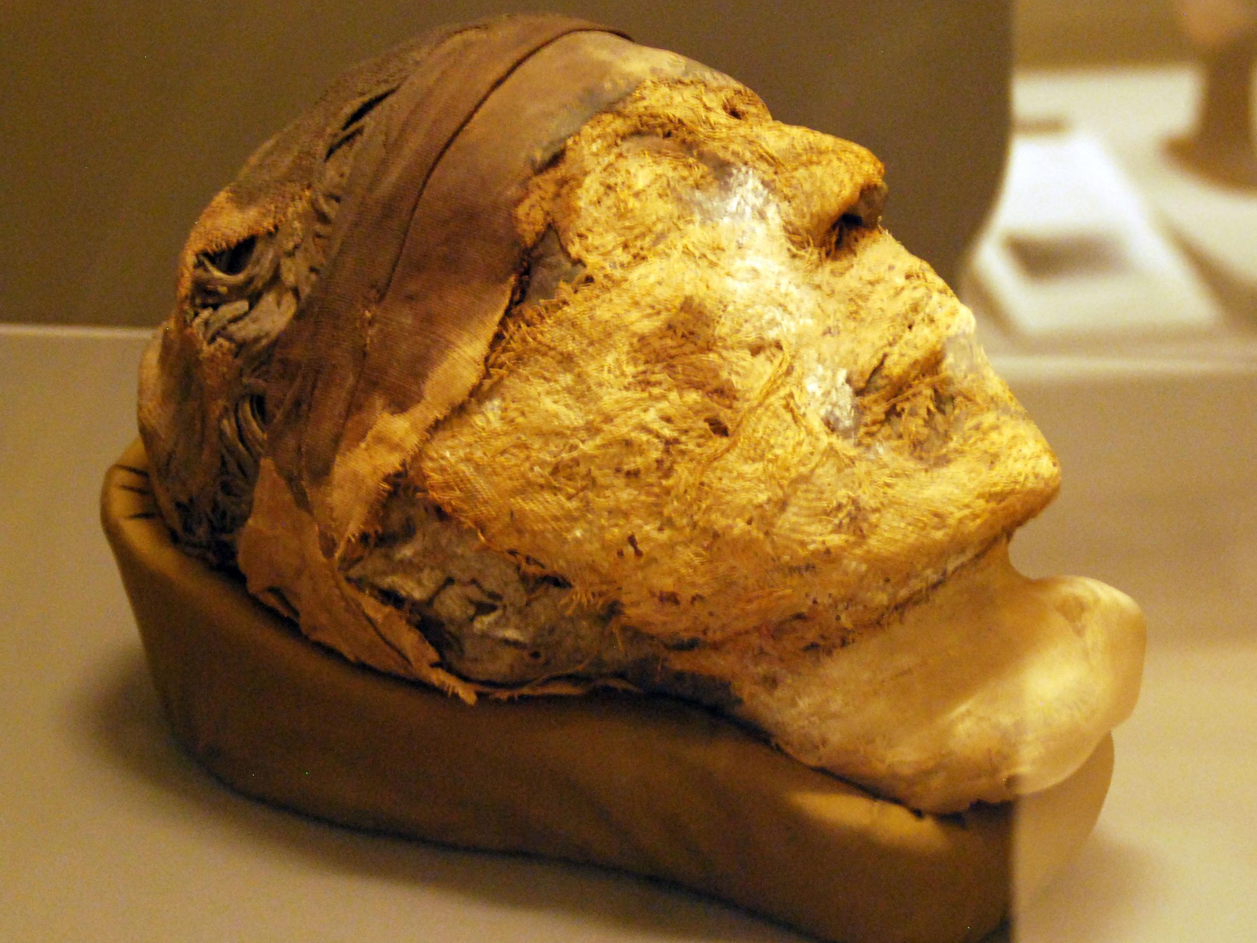 The severed, mummified head was discovered in an Egyptian tomb in 1915. Now, its much speculated identity has been revealed