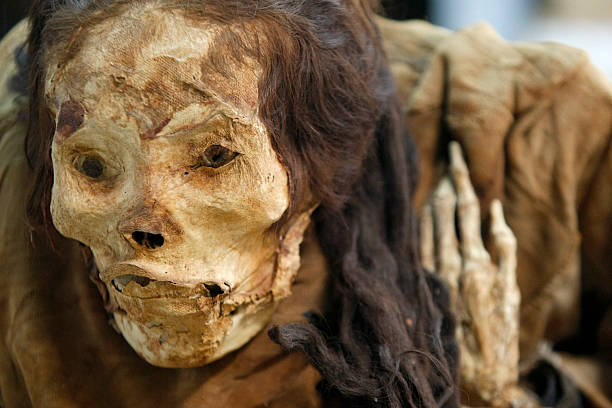 The mystery of Huaca’s buried long-haired princess dates back to 200 BC - BAP NEWS