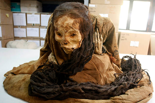 The mystery of Huaca’s buried long-haired princess dates back to 200 BC - BAP NEWS