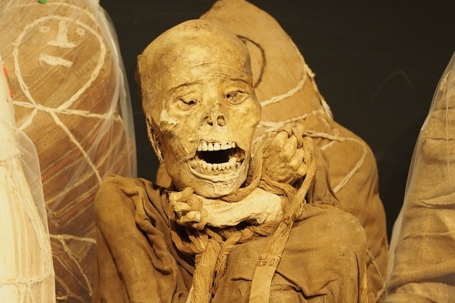 Inca elite mummies