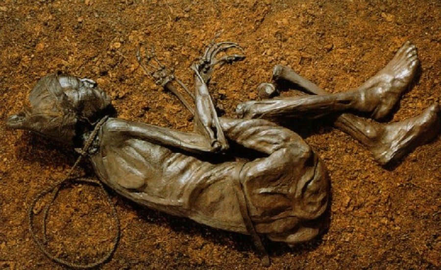 Bog Body: Mummified Corpses of the Iron Age | History Cooperative