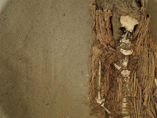 7,000-Year-Old Chinchorro Mummies are the World’s Oldest