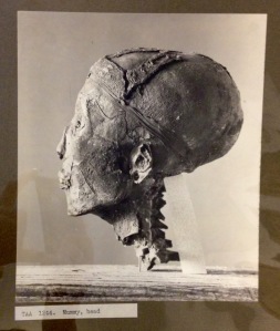 Tutankhamun’s head