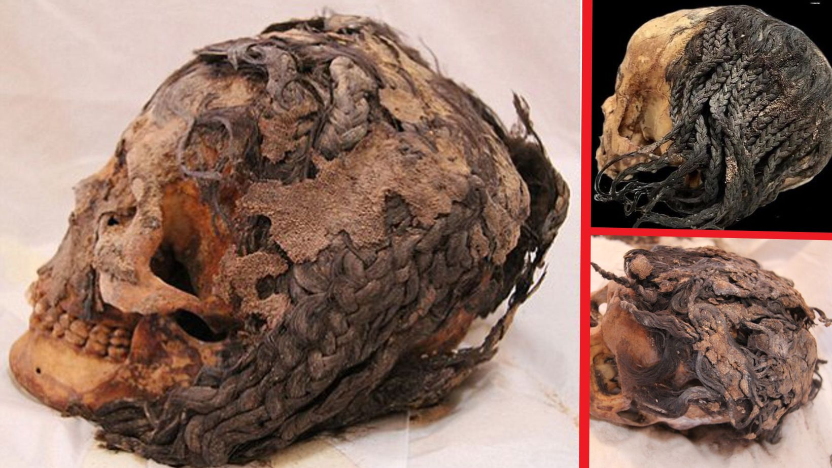 A 3,300-Year-Old Hairstyle on a Preserved Ancient Egyptian Head - BAP NEWS