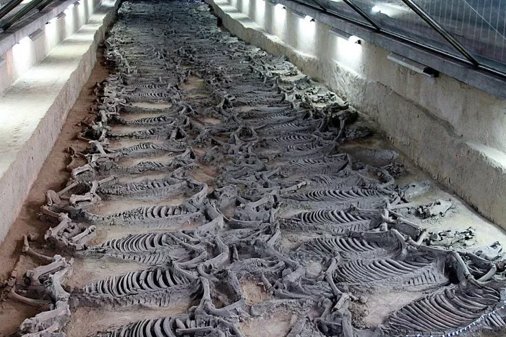 Ancient China: 100 Horse Skeletons Discovered in 2,400-Year-Old Burial Pit Next to Tomb of Lord -