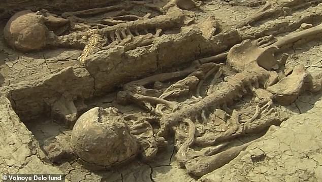 1,500-Year-Old Crypt of rich warrior buried with wife and children discovered in Ancient Russian City - T-News