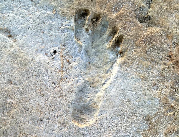 Fossilized human footprints that a White Sands National Park program manager first discovered.