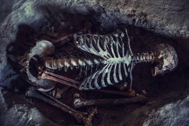 Horned Skeleton: An Anсient Gіant Horned Skeleton Dіscovered іn Eаst Afrіca