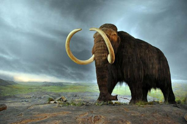 Did Man and Mammoth Ever Live in Harmony? Not Quite…