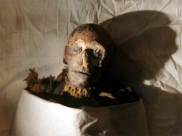 Mummy of Hatshepsut - T-News