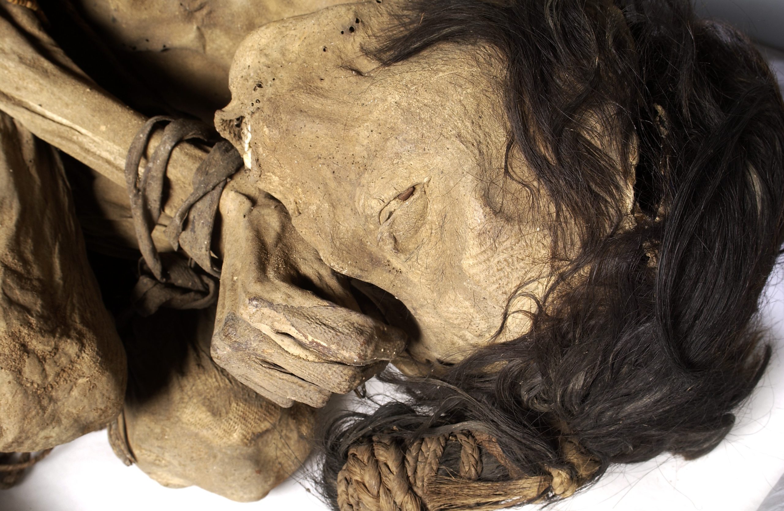 Journey into the Past: Decoding the Hidden Secrets of the Chimu Culture through the Fetal Mummy
