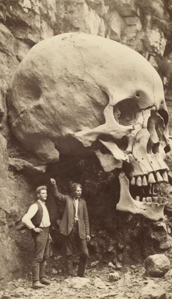 Journey to the Past: Archaeologists Unearth Enigmatic Giant Skull