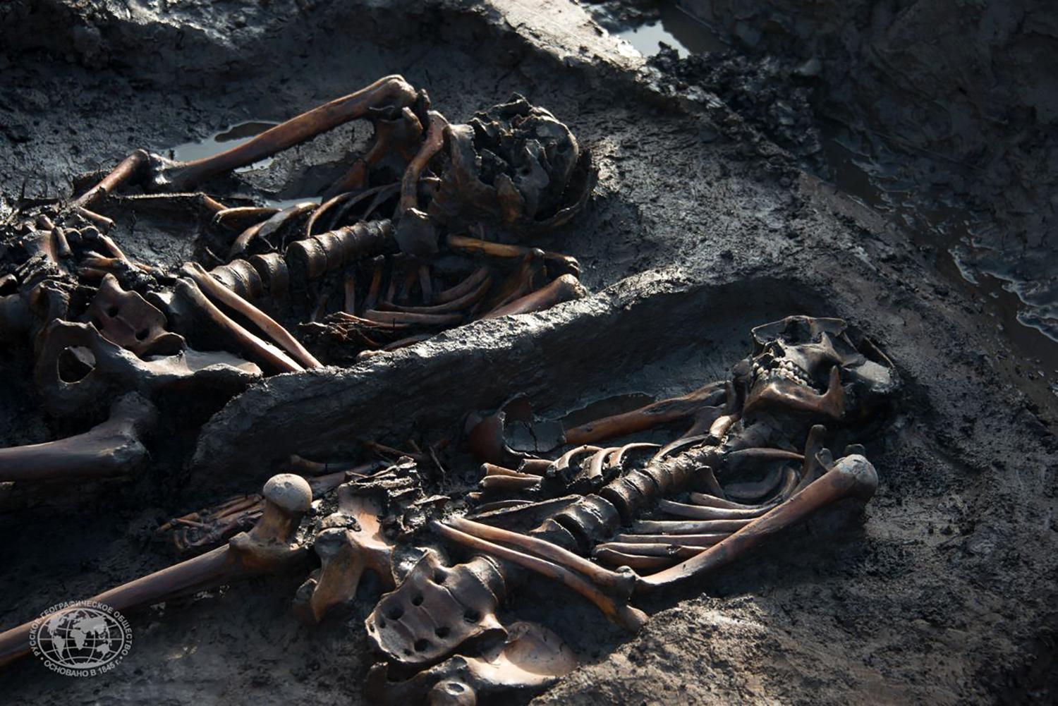 Unveiling the Mysteries: Russia’s Deep Dive into the DNA of the Scythian Burial Grounds