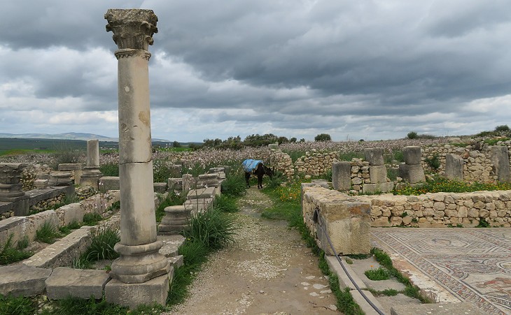 The Houses of Volubilis, a Roman town in Morocco