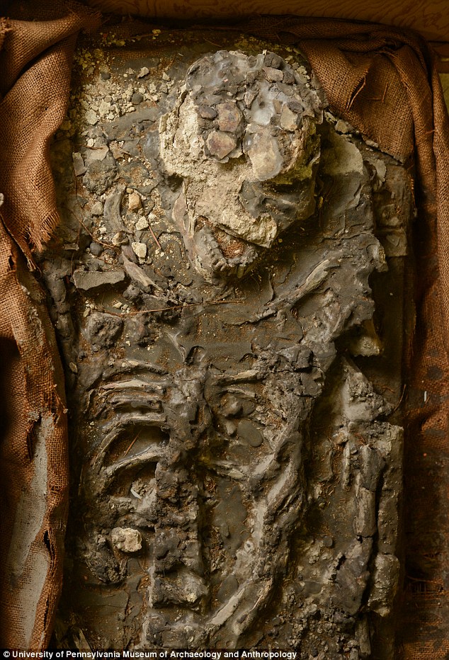 A remarkable 6,500-year-old skeleton, dubbed the “Noah” skeleton, has been rediscovered, revealing a survivor of the Great Flood concealed within a museum