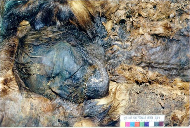 Mysterious Lost Medieval Civilization and Puzzling Ancient Mummy Found Near Arctic