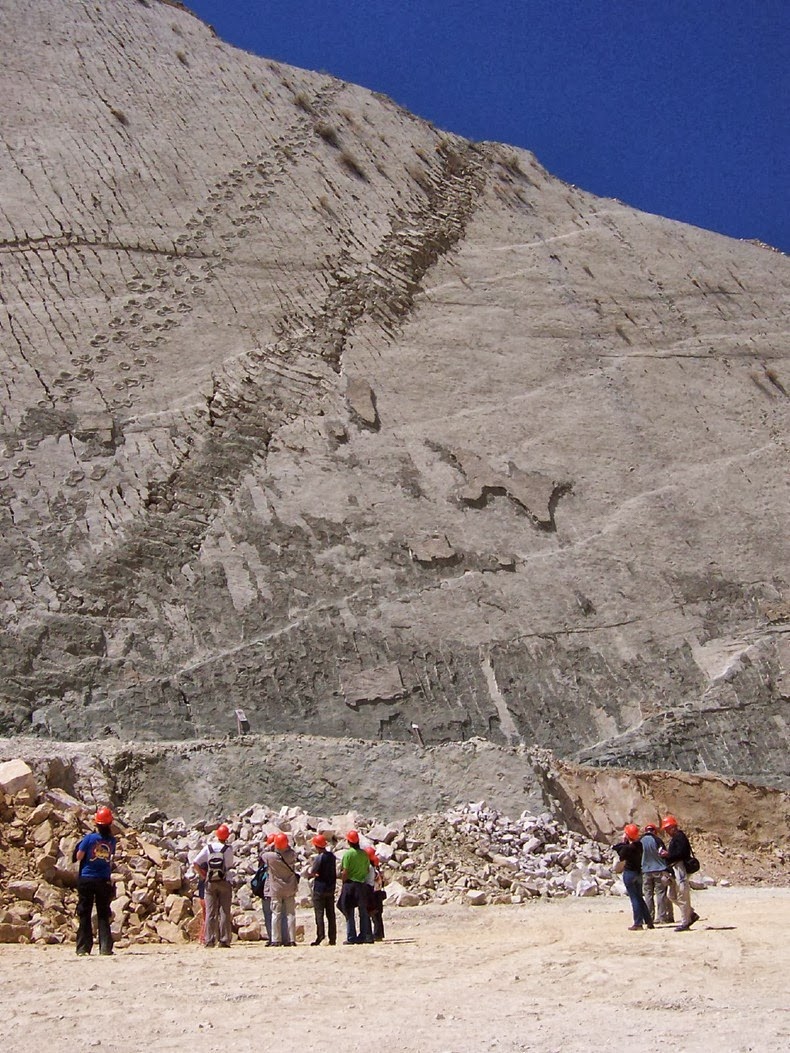 Cal Orcko: A 300 Feet Wall With Over 5,000 Dinosaur Footprints