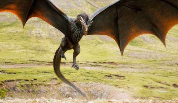 Renowned University Professor Assures That Dragons Existed And Cohabited With Humans