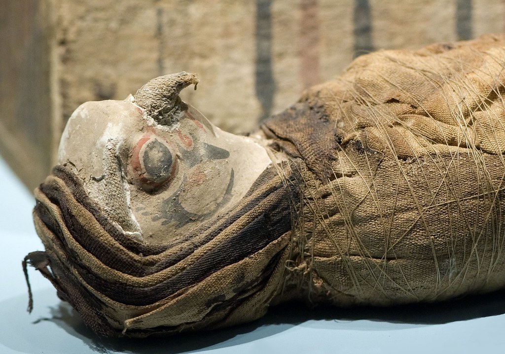 The Mummified Animals of Ancient Egypt